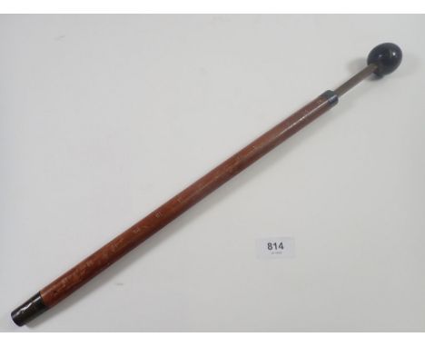 A Victorian short measuring stick with ebony knob terminal and silver collar - thought to be for dogs, Measures upto 31cm tal