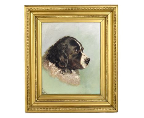 E SHELFORD; oil on canvas, portrait of a dog, signed and dated 1910 lower left, framed.&nbsp;Additional InformationChipping/w
