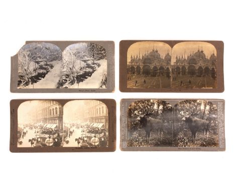 Stereoscopic Cards 1890s: The Fine Art Photographers Publishing Co and Excelsior Stereoscopic Tours and others - global topog
