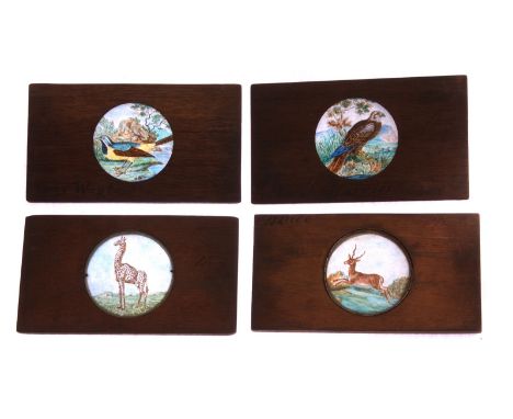 Mahogany-mounted Magic Lantern Slides: featuring animals and reptiles, including whale casting sailors into sea, various size