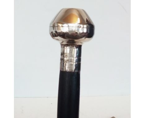 Compass Handle Walking Stick