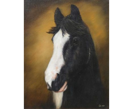 C* R* S*, Portrait of a horse, initialled and dated '99, oil on canvas, 50 x 40cm.