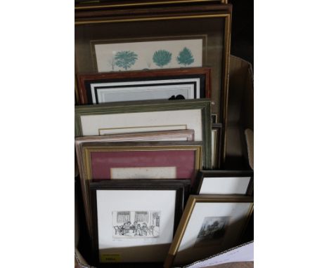 A cased bird feather and watercolour picture plus botanical and 19th Century topographical engravings, prints etc (two boxes)