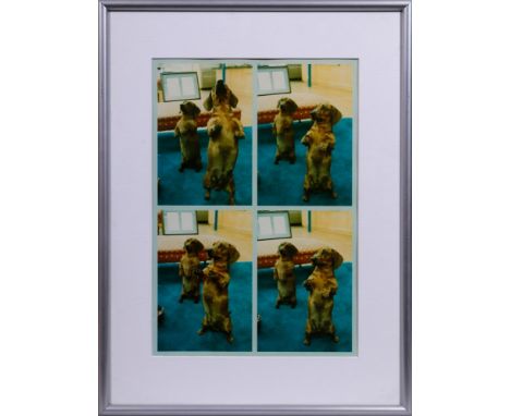 David Hockney (Bradford 1937 - lebt in London und Los Angeles) C-Print auf Fuji Papier, "Stanley &amp;amp; Heinz", verso Copy