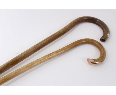 Early Edwardian Brigg "fertility" walking stick made from a bull's pizzle with crook handle and 12ct gold end cap (London 190