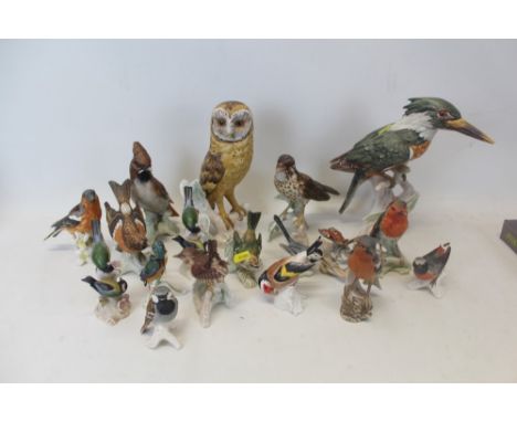 Collection eighteen Goebel bird ornaments (18)