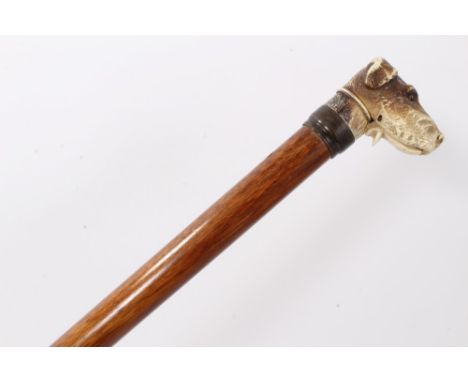 Late 19th century/early 20th century glove stick with metal collar surmounted by a composite handle in the form of a dog's he