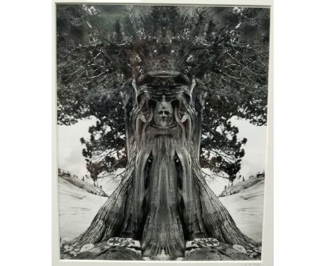 Untitled, 1994 Jerry Uelsmann Silver Gelatin Print. Signed and dated lower right. Signature on verso of photo, along with dat