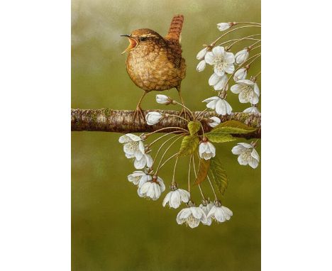 Robert E Fuller (British 1972-): 'Wren on Cherry Blossom', limited edition colour print signed and numbered 207/850, 34cm x 2