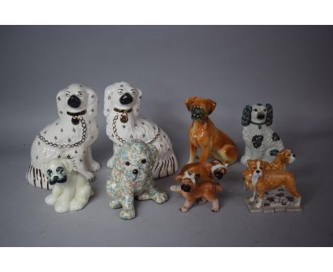 A Collection of Ceramic Dog Ornaments to Include Pair of Staffordshire Spaniels, Novelty Cruets etc 