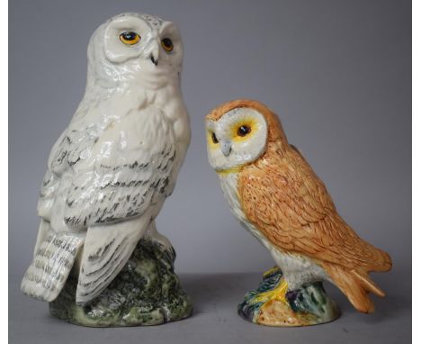 A Beswick Snowy Owl Whyte and Mackay Scotch Whisky Decanter (empty) and a Beswick Barn Owl 