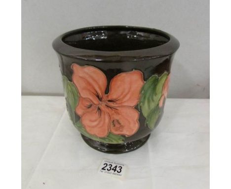 A Moorcroft Hibiscus planter, approximately 6.75'' high and 7'' diameter.