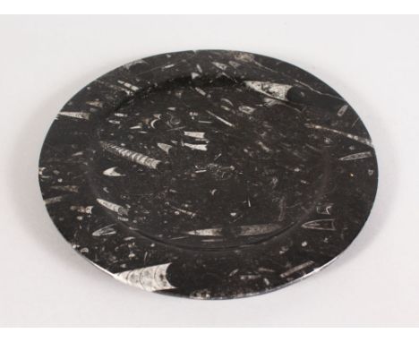 A BLACK FOSSIL CIRCULAR PLATE.