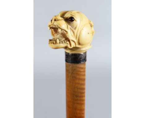 A WALKING STICK with carved ivory "BULLDOG" handle.