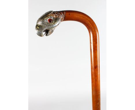 A WALKING STICK WITH SILVER BIRDS HEAD HANDLE.