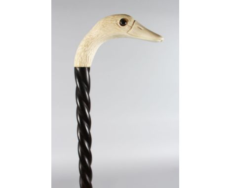 A WALKING STICK with carved ivory DUCKS HEAD HANDLE.