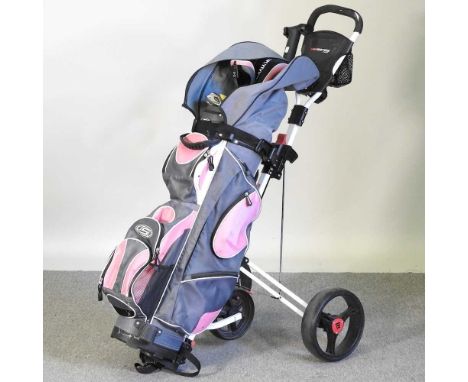 A set of ladies golf clubs, in a caddy