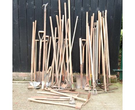 A large collection of garden hand tools