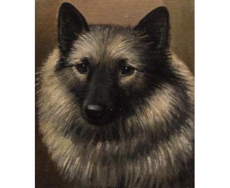 Henry CrowtherBlack Mundo, portrait of a dog,signed and dated 1932,oil on board,28cm x 24cm; and,Portrait of a cat, by the sa