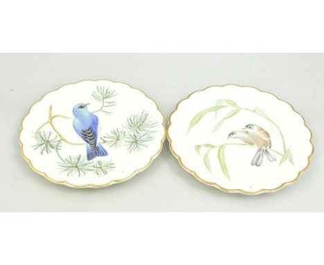 Six Royal Worcester limited edition Dessert Plates, The Birds of Dorothy Doughty series, including Blue-grey Gnatcatchers, Pa