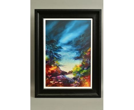 PHILIP GRAY (IRELAND 1959) 'INTO THE BLUE', a signed artist proof print of underwater scene 3/20, with certificate, approxima