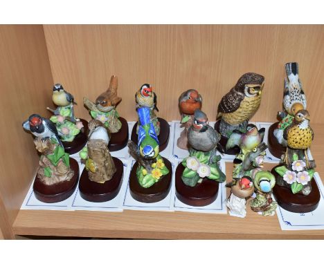 FOURTEEN CERAMIC BIRD FIGURES, eleven from The Danbury Mint 'The Beautiful Birds Collection', ten mounted on wooden plinths a