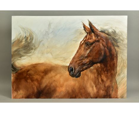GARY BENFIELD (BRITISH 1965) 'PATIENCE III', a study of a brown horse, signed bottom left, oil on board, approximate size 49c