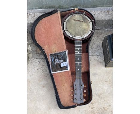A VINTAGE WALLIOSTRO ZITHER MANDOLINE WITH CARRY CASE