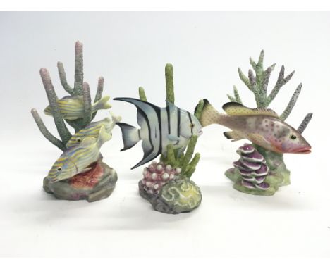 Three Royal Worcester ornamental marine fish figures.