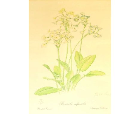 Elizabeth Cameron - set of 6 limited edition botanical prints, each signed and numbered from editions of 350 (some fading), 4