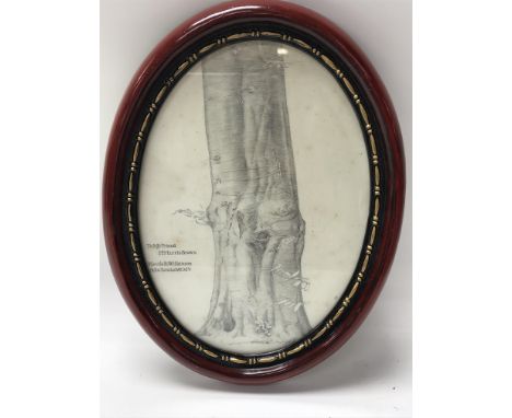 A signed and dedicated framed pencil sketch of a tree trunk. The artist is Neville R. Wilkinson (1869-1940), a notable Britis