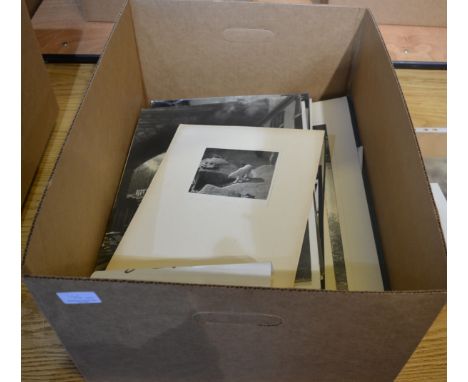Of Bradford Photographic Society Interest, Various Member's Photographs, comprising: R.V. Pike; Ken Wilson; J.W. Murray; C. V