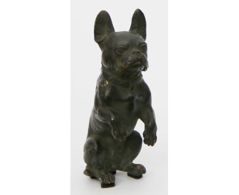 Unbekannter Künstler (um 1900) Bulldogge, Männchen machend. Schwarz-braun patinierte Bronze (l. berieben). H. 10 cm.