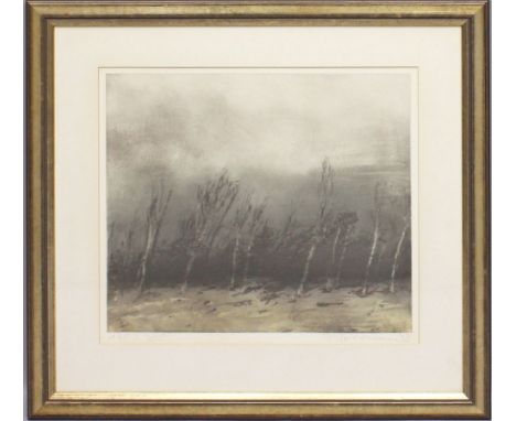 Fussmann, Klaus (geb. 1938 Velbert) "Regen". Radierung/Papier (min. gebräunt), re. u. mit Bleistift sign. und dat. (19)78 sow
