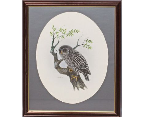 Cooper, William (1934 Newcastle - Malanda 2015) Eule auf Ast. Aquarell, li. u. sign. und dat. (19)70. PP.-Ausschnitt (im Oval
