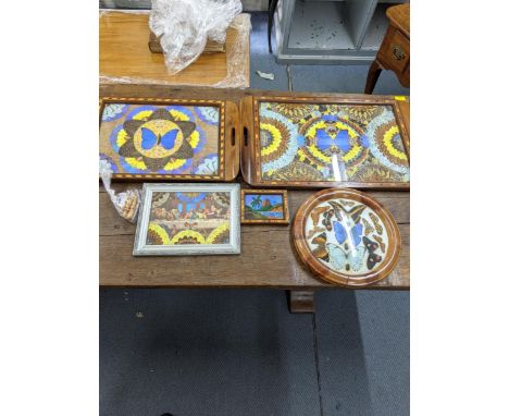 A collection of blue Morpho butterfly and moth wing items to include two serving trays, a framed print incorporating butterfl