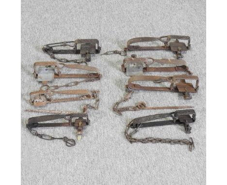 Eight 19th century iron gin traps