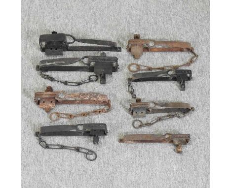 A collection of eight 19th century iron gin traps