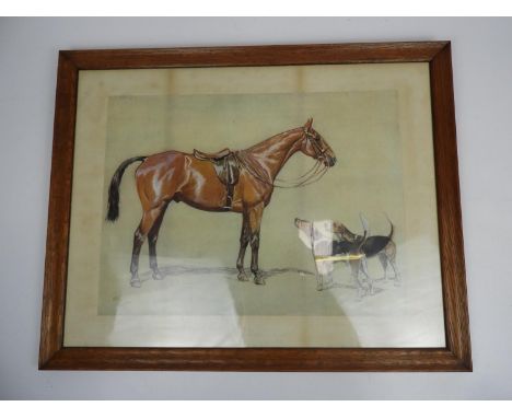 Framed Print - Horse and Hunting Dogs - Cecil Aldin 