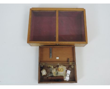 Vintage Insect Microscope Slides with Case and Display Box 