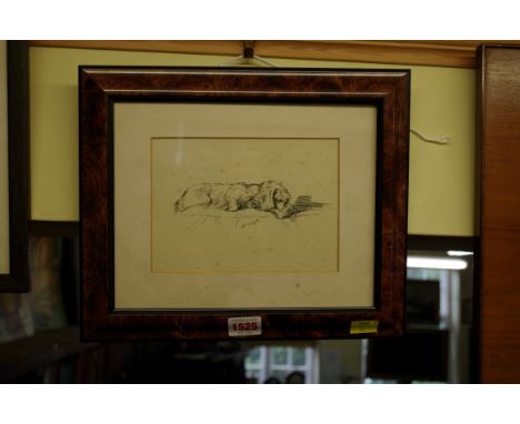 Dominic Cole, 'A&nbsp;Cat', signed and dated 20.1.92, pencil sketch, 13 x 17cm; together with a print of dog titled 'Oonagh';