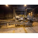 Mezzanines and Connected Conveyor (Cut off at Building Exterior), Rigging Fee: $25,000