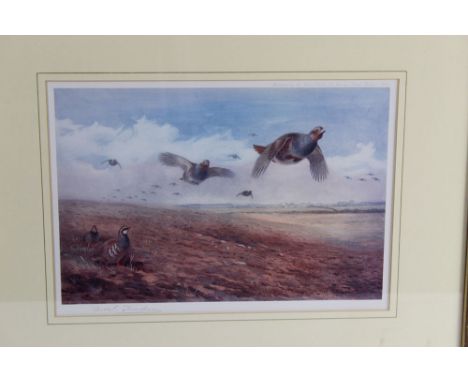 Archibald Thorburn, two signed coloured prints, the first depicting grey and red leg partridge.  20 x 30 cm, framed and mount