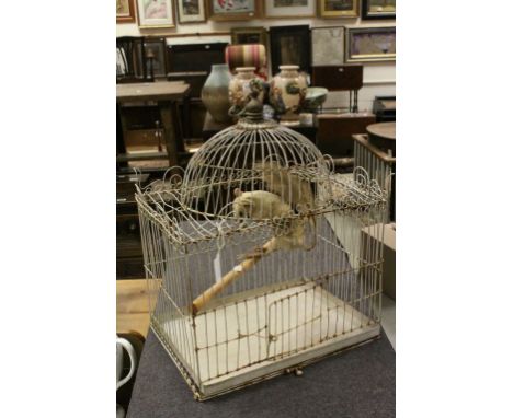 Vintage Wirework Bird Cage with Taxidermy Squirrel