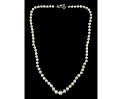 Mikimoto single strand graduating cultured pearl necklace, on original silver clasp, stamped, with guarantee and pouchConditi