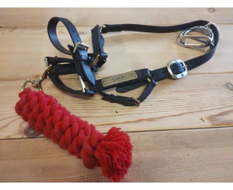An English leather handstitched brass mounted equestrian head collar with rope and a pair of rocking horse stirrups 