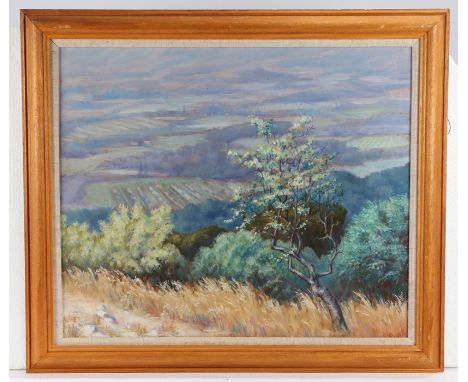 T.N.A. Powell, "La Coste", signed oil on board, with The Hurlingham Club Members' Art Exhibition label verso, housed in a sta