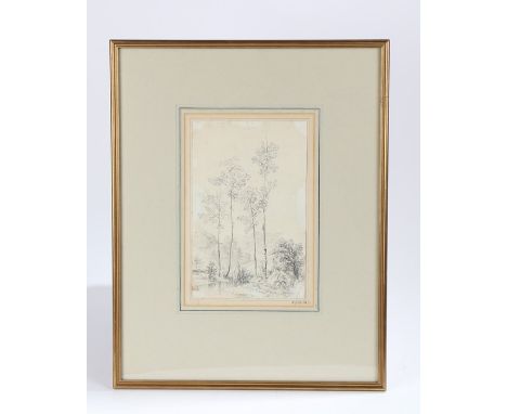 R Gibb, (19th Century British school), pencil sketch of trees by a stream, housed in a gilt and glazed frame, the pencil 15cm