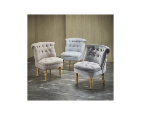 Charlotte Occasional Chair Its French-inspired design and plush silver velvet will add a touch of glamour to your living spac