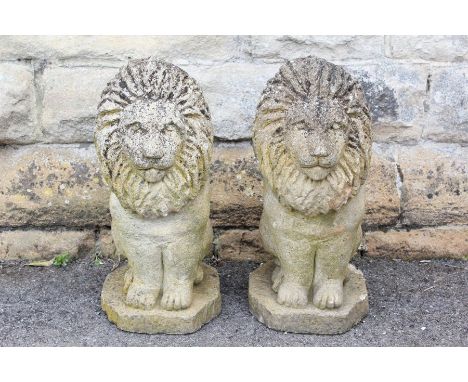 A Pair of Stone Garden Lion Figures: The seated figures measure approx 24 w x 48 cms h.&nbsp;